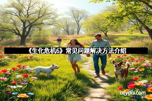 《生化危机6》常见问题解决方法介绍